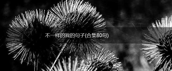 不一样的我的句子(合集80句),第1张
