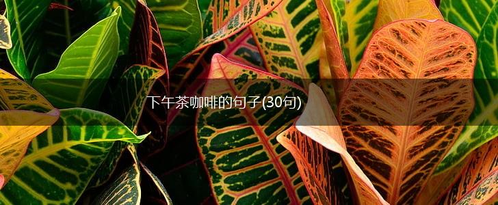 下午茶咖啡的句子(30句),第1张