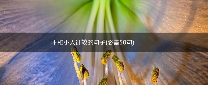 不和小人计较的句子(必备50句),第1张