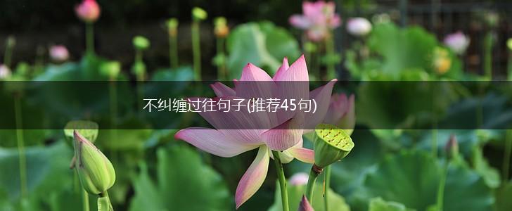 不纠缠过往句子(推荐45句),第1张
