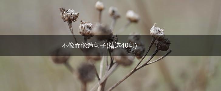 不像而像造句子(精选40句),第1张