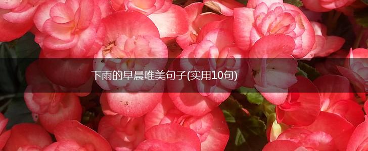 下雨的早晨唯美句子(实用10句),第1张