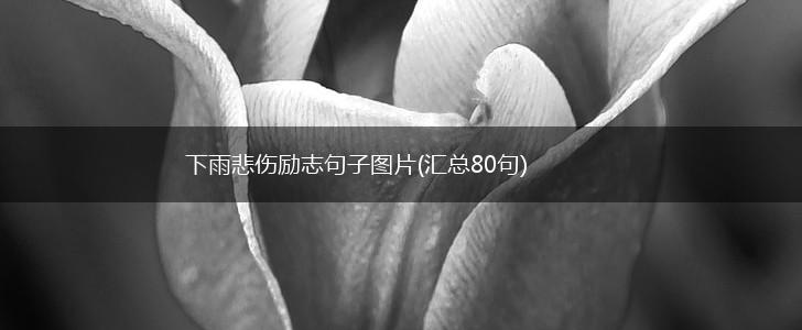 下雨悲伤励志句子图片(汇总80句),第1张