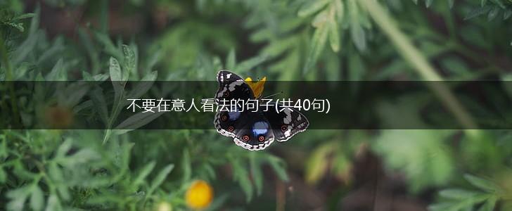 不要在意人看法的句子(共40句),第1张