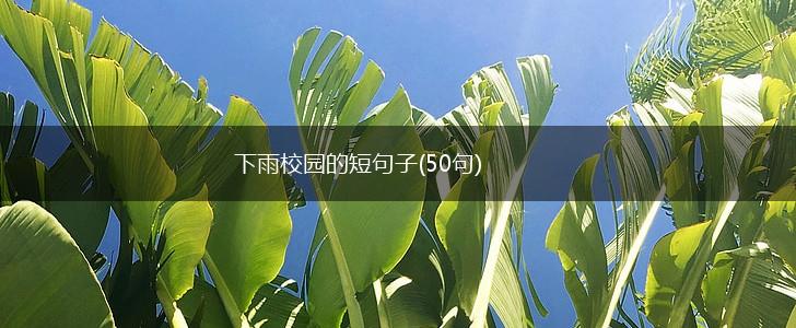 下雨校园的短句子(50句),第1张