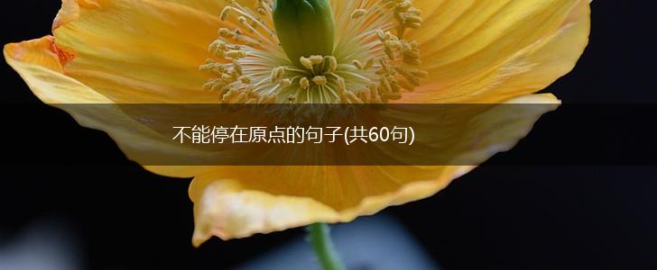 不能停在原点的句子(共60句),第1张
