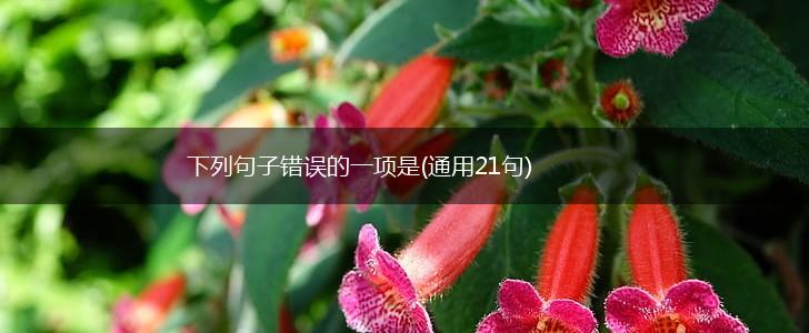 下列句子错误的一项是(通用21句),第1张