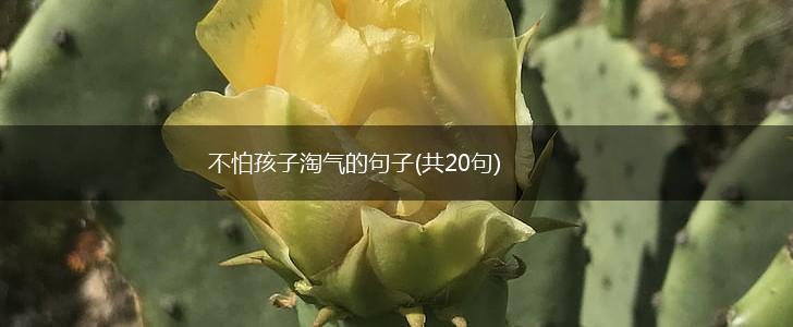 不怕孩子淘气的句子(共20句),第1张