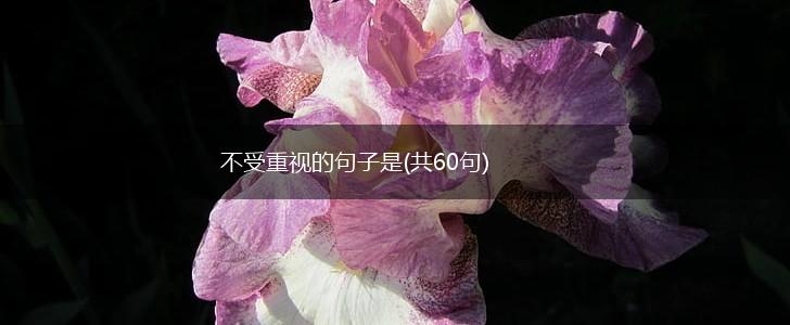 不受重视的句子是(共60句),第1张