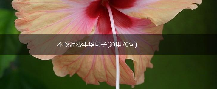不敢浪费年华句子(通用70句),第1张
