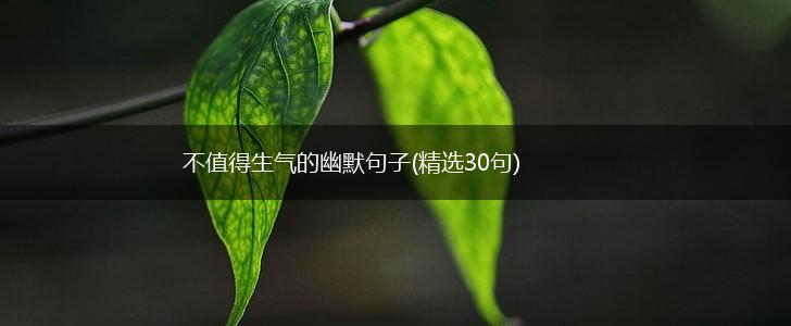 不值得生气的幽默句子(精选30句),第1张