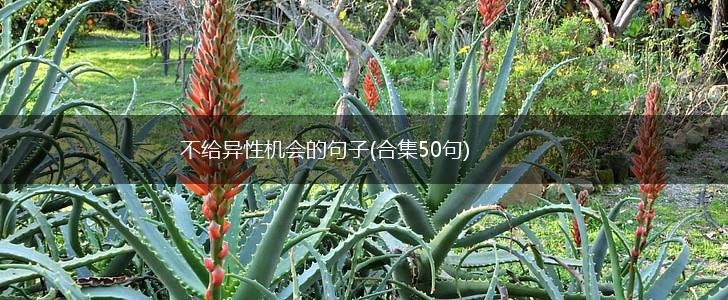不给异性机会的句子(合集50句),第1张