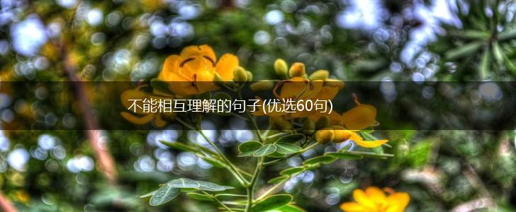 不能相互理解的句子(优选60句),第1张