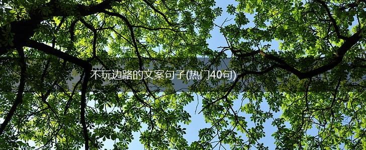 不玩边路的文案句子(热门40句),第1张