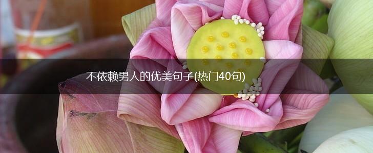 不依赖男人的优美句子(热门40句),第1张