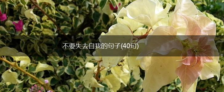 不要失去自我的句子(40句),第1张
