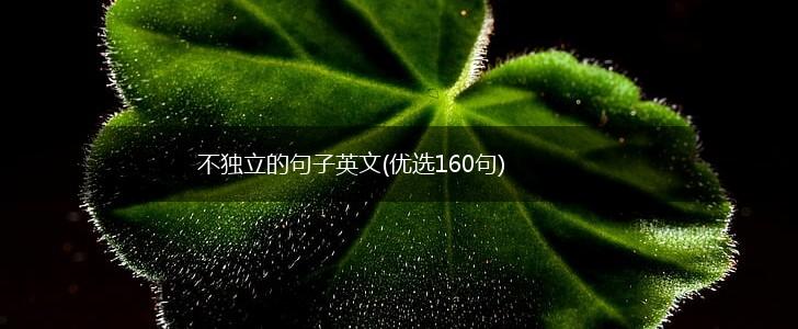 不独立的句子英文(优选160句),第1张