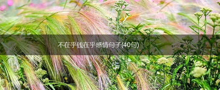 不在乎钱在乎感情句子(40句),第1张