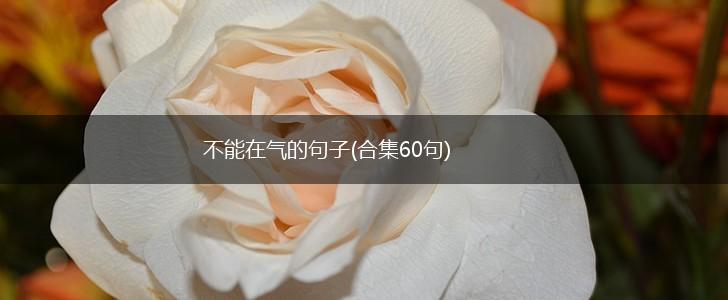 不能在气的句子(合集60句),第1张