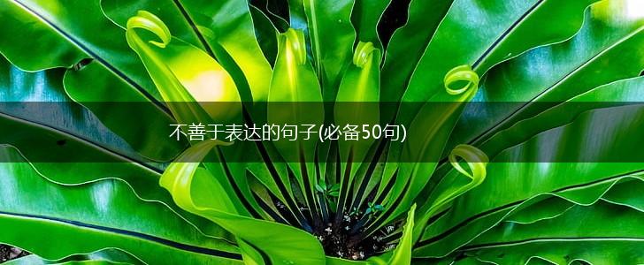 不善于表达的句子(必备50句),第1张