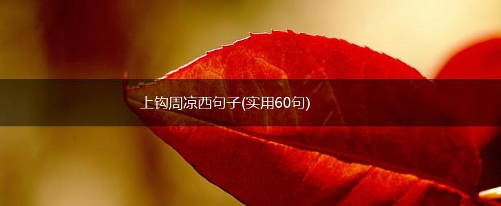 上钩周凉西句子(实用60句),第1张