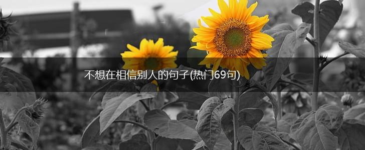 不想在相信别人的句子(热门69句),第1张