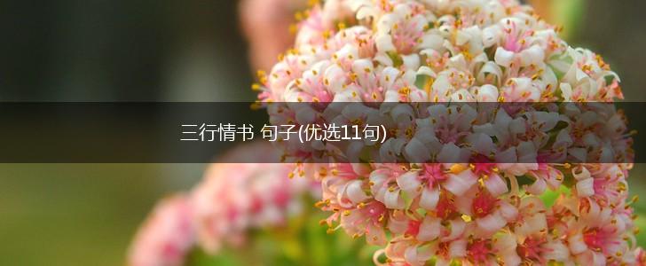 三行情书 句子(优选11句),第1张
