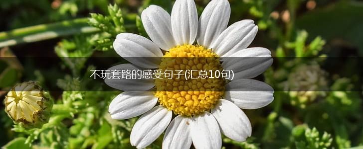 不玩套路的感受句子(汇总10句),第1张