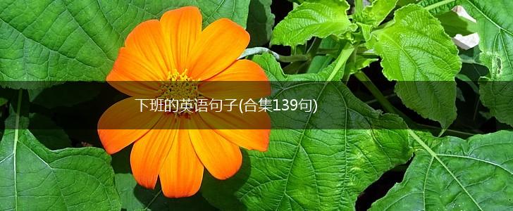 下班的英语句子(合集139句),第1张