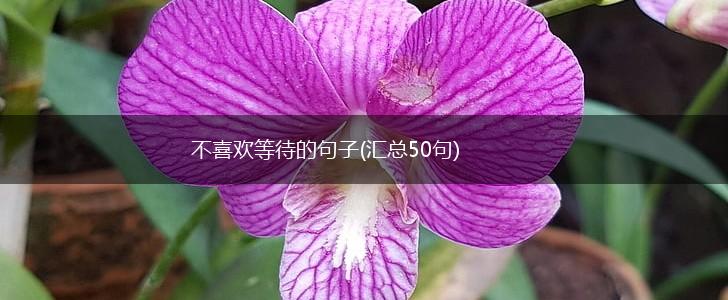 不喜欢等待的句子(汇总50句),第1张
