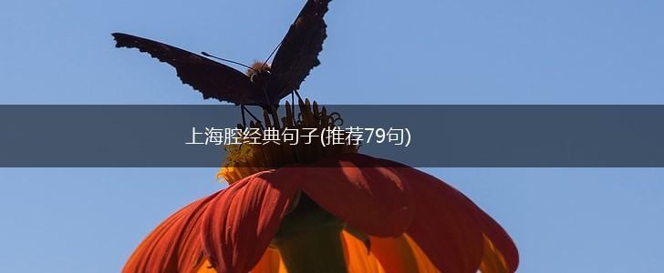 上海腔经典句子(推荐79句),第1张