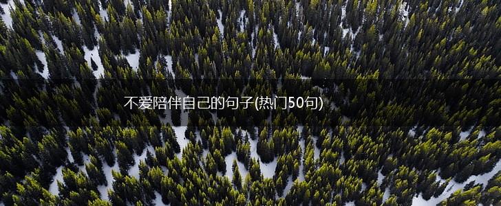 不爱陪伴自己的句子(热门50句),第1张