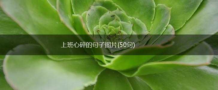 上班心碎的句子图片(50句),第1张