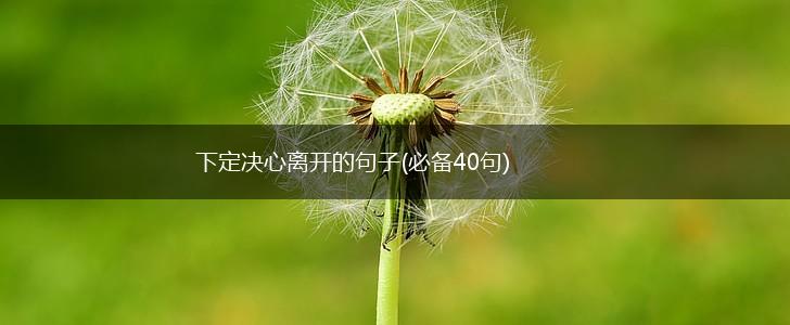下定决心离开的句子(必备40句),第1张