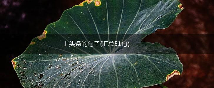上头条的句子(汇总51句),第1张