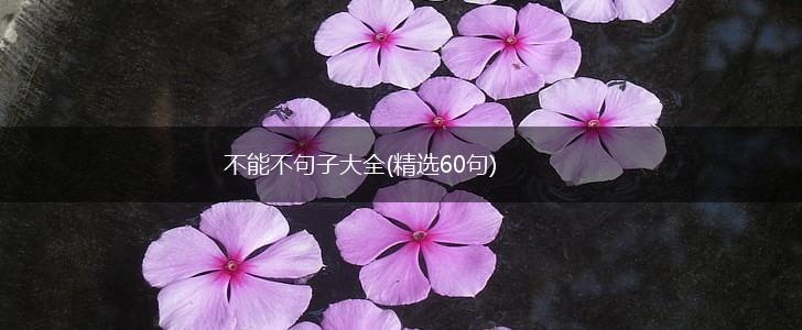 不能不句子大全(精选60句),第1张