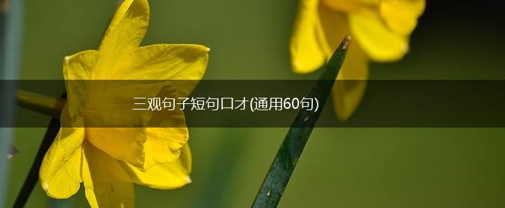 三观句子短句口才(通用60句),第1张