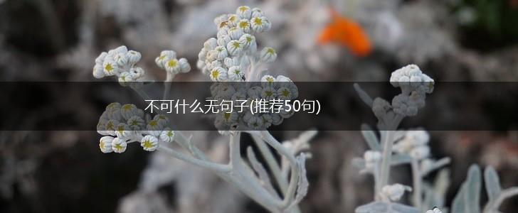 不可什么无句子(推荐50句),第1张