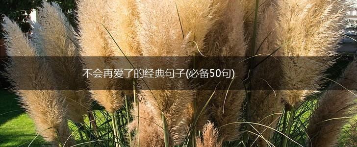 不会再爱了的经典句子(必备50句),第1张