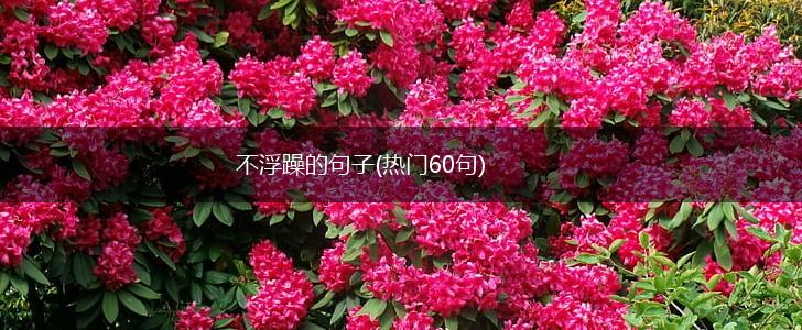 不浮躁的句子(热门60句),第1张