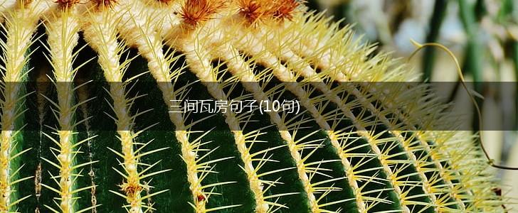 三间瓦房句子(10句),第1张