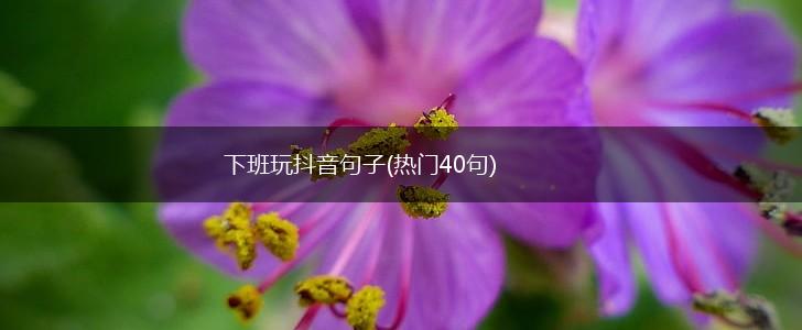 下班玩抖音句子(热门40句),第1张 下班玩抖音句子(热门40句),第1张
