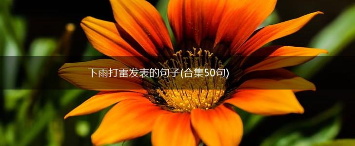 下雨打雷发表的句子(合集50句),第1张
