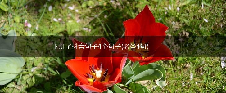 下班了抖音句子4个句子(必备4句),第1张