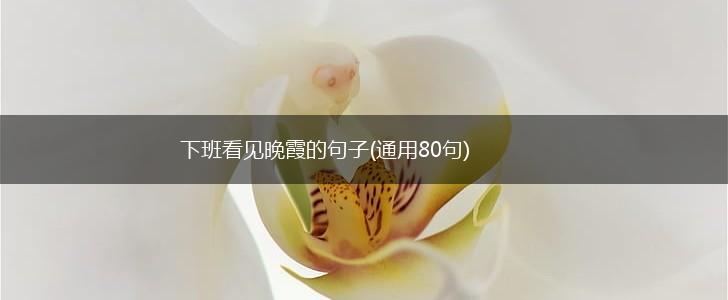 下班看见晚霞的句子(通用80句),第1张