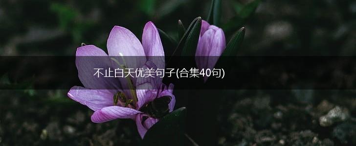 不止白天优美句子(合集40句),第1张