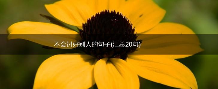 不会讨好别人的句子(汇总20句),第1张