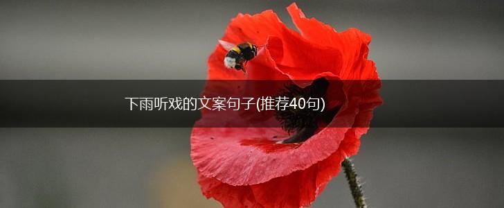 下雨听戏的文案句子(推荐40句),第1张