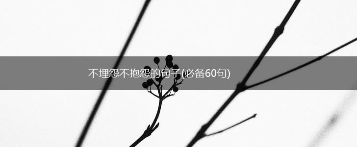 不埋怨不抱怨的句子(必备60句),第1张