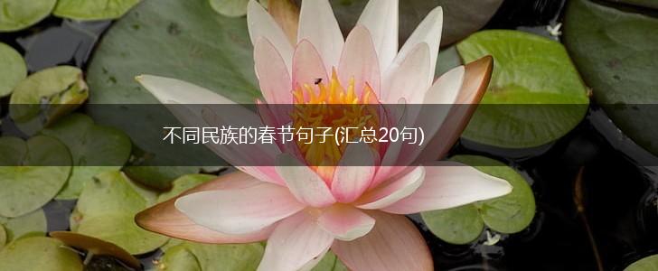 不同民族的春节句子(汇总20句),第1张